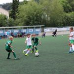 Sparkassen-Cup F-Jugend 16.06.2019 0011